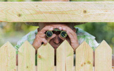 Wie hoch darf ein Zaun sein?